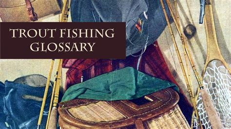 New Zealand trout fishing glossary | River Fishing NZ