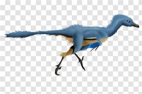 Troodon Velociraptor Dromaeosaurus Dinosaur Feather Transparent PNG