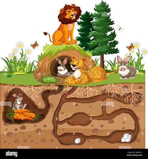 Underground animal hole in cartoon style illustration Stock Vector Image & Art - Alamy