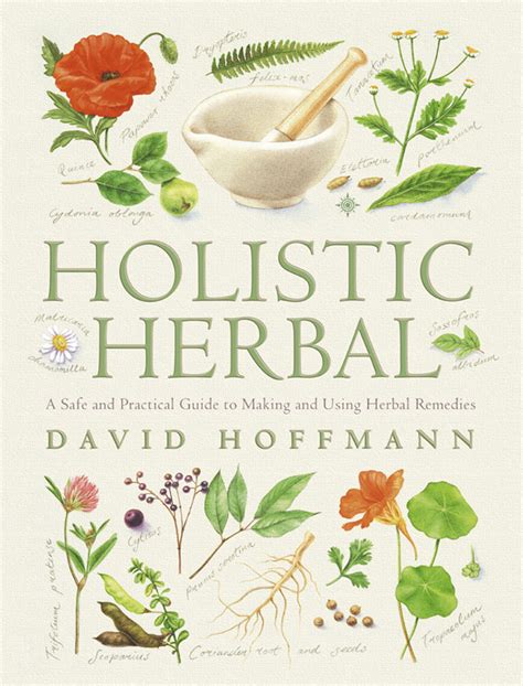 Holistic Herbal: A Safe and Practical Guide to Making and Using Herbal ...