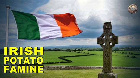 A Timeline Of The Potato Famine that Changed Ireland Forever | The ...