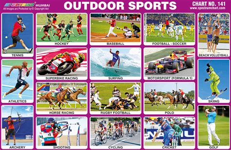 Spectrum Educational Charts: Chart 141 - Outdoor Sports