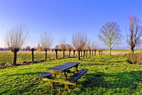 Free photo Bench Willow Picnic Table Resting Place - Max Pixel