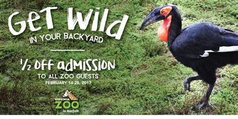 Local Readers: Save on Admission to the Virginia Zoo!