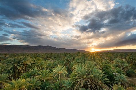 Draa Valley Morocco Travel Guide | Discover Nature's Oasis With Morocco Shiny Days