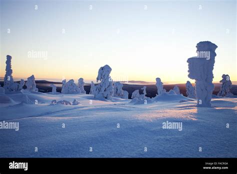 Cold winter in Lapland Finland Stock Photo - Alamy