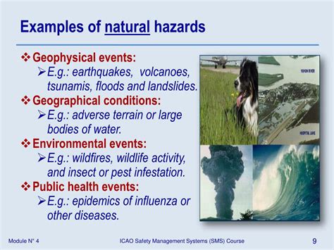 PPT - Module N° 4 – Hazards PowerPoint Presentation, free download - ID:3385053