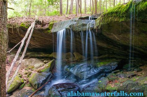 Bankhead National Forest Trip Guide - Alabama Waterfalls