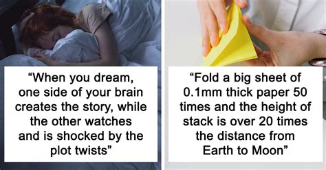 ‘What Is A Scientific Fact That Absolutely Blows Your Mind?’: People Share 35 Incredible Facts ...