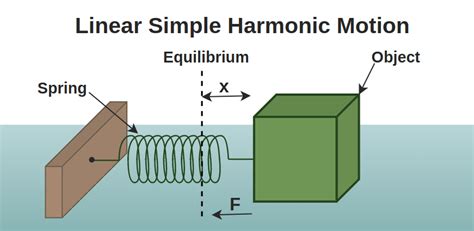 Simple Harmonic Motion - Exam Analysis