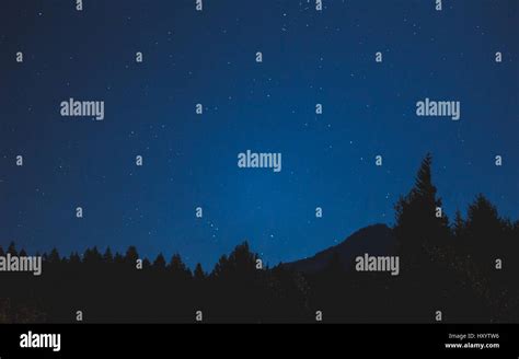 Stars in a night sky over forest trees and mountain landscape ...