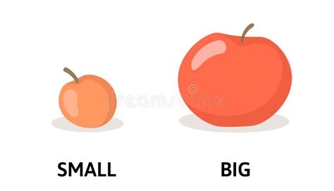 Opposite Words Big Small Stock Illustrations – 38 Opposite Words Big ...