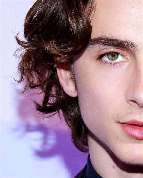 Timothee Chalamet - NaushadRaihan