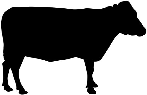 Cow Silhouette | Free vector silhouettes