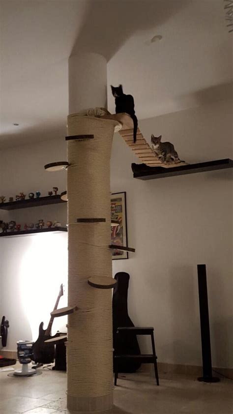 We build a cat climbing wall that our house cats can retreat when we ...