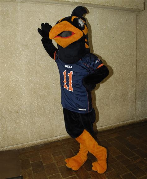 Rowdy the Roadrunner - Mascot of the University of Texas | Animal ...