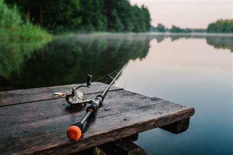 The Best snagging rod and reel For You - 401 Fishing Reports