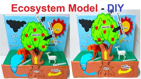 ecosystem model making for science project using science exhibition - diy - simple | DIY pandit ...