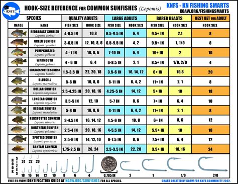 KNFS Free Hook-Size Chart for Common Sunfishes - Bluegill, longear ...