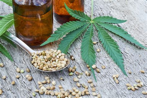 Ultimate Guide for Buying Cannabidiol Products - Rebiz Zield