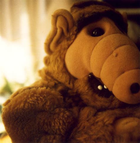 Alf | Even Alf needs some time to himself. | jbhalper | Flickr