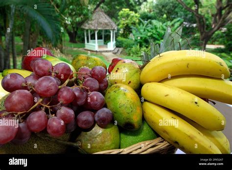 Fruit Plate, East Winds Inn, St. Lucia, Caribbean Island Stock Photo - Alamy