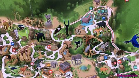 2019 Los Angeles Zoo Map and Botanical Gardens - YouTube