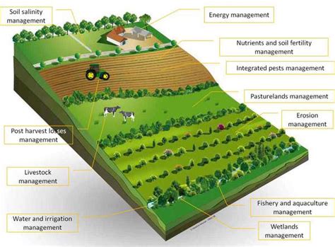 Newer Agricultural Practices & Misc Topics | PMF IAS