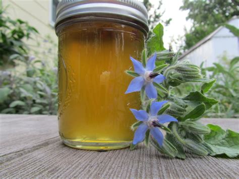 Borage Cucumber Jelly With Ginger Recipe - Food.com