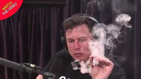 Elon Musk smokes a joint live on YouTube: Tesla CEO inhales marijuana ...