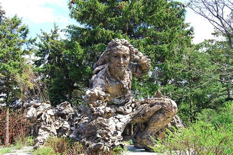 "Carl Linnaeus Statue - Chicago Botanic Garden" by KevinsView | Redbubble