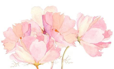 light pink flower - Google Search | Watercolor art diy, Floral art ...