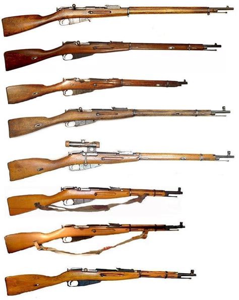 A Rifle For Preppers: The Mosin-Nagant - Off The Grid News