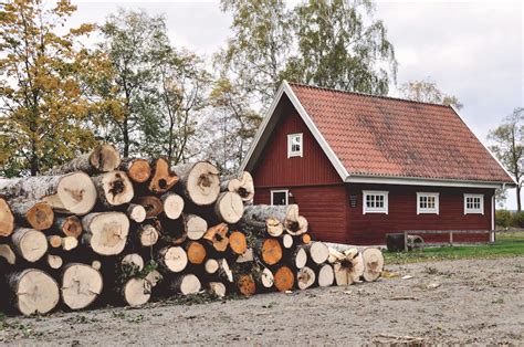 Tree Logs Near Barn · Free Stock Photo