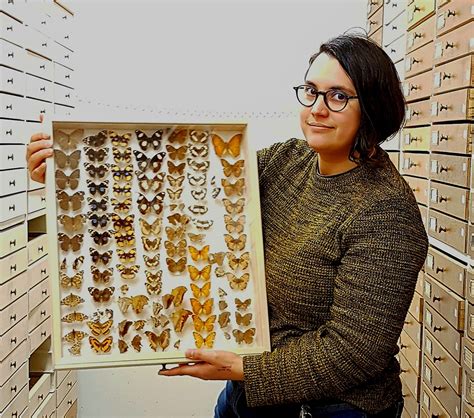 Shades of Jurassic Park: Museum Specimens Shown to be "Treasure Troves ...