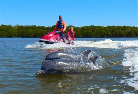 THE 10 BEST Things to Do in Immokalee - 2021 (with Photos) - Tripadvisor