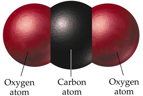 Carbon Dioxide: Dangers & Management