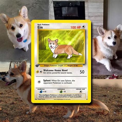 Artist Transforms Pets Into Pokémon Cards (30 Pics) | Pokemon cards, Pokemon, Chubby puppies