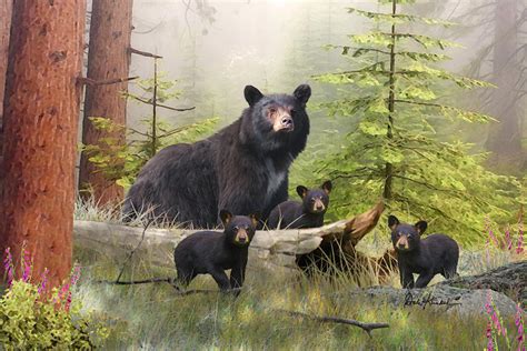 Wildlife Art - Black Bear Painting by Dale Kunkel Art