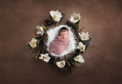 Digital Newborn Flower Prop - Etsy