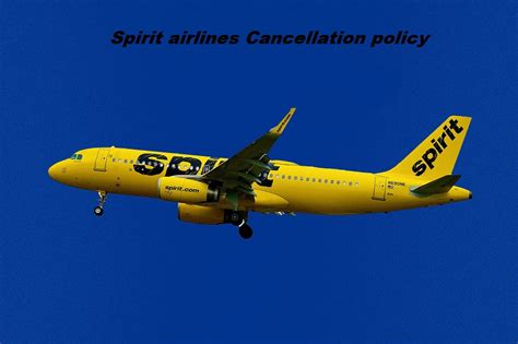 All about Spirit Airlines Cancellation Policy 2023 - Daily News Publishing Portal | LouisasCafe