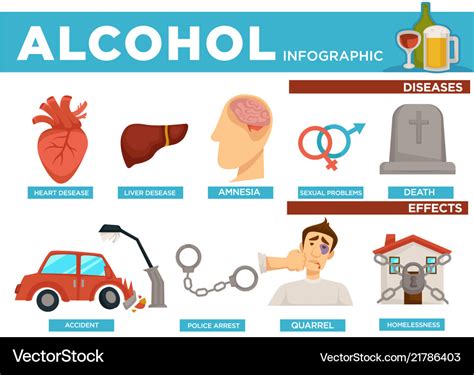 Infographic Effect Of Alcohol On Human Body - vrogue.co