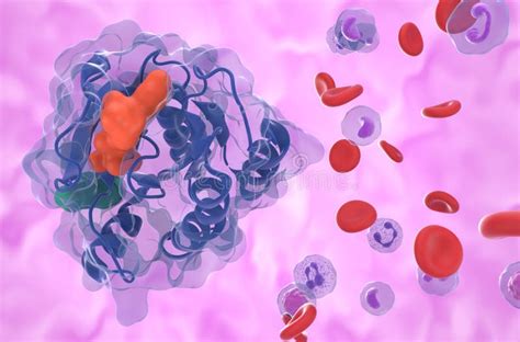 KRAS G12C Mutation in Non-small Cell Lung Cancer NSCLC - Closeup View 3d Illustration Stock ...