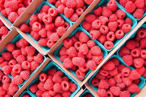 Fall Raspberries – Rumar Farm