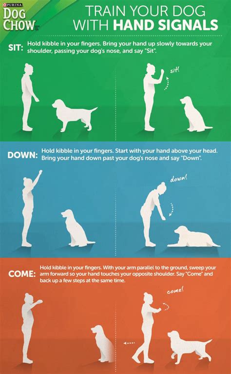 Dog Training with Hand Signals - Purina® Dog Chow® | Dog clicker training, Training your dog ...