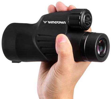 What's the Best Monocular for Bird Watching? [Low-Cost]