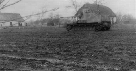 Panzerjager Hornisse Nashorn German tank destroyer 1944 eastern front | World War Photos