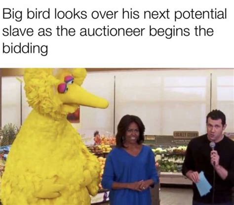 50+ Funny Big Bird Memes That Will Make You Laugh