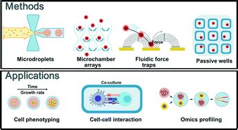 Recent advances in microfluidic devices for single-cell cultivation ...