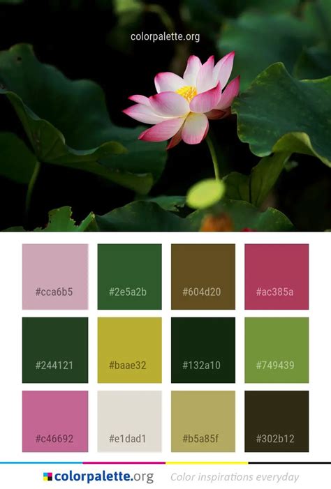 Flower Plant Lotus Color Palette | colorpalette.org